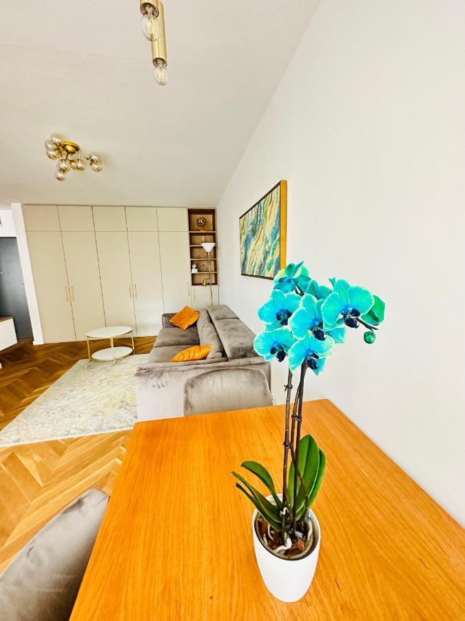 Bel Dom - The Central, Spacious 2 Rooms Luxury Apartment Kluž Exteriér fotografie